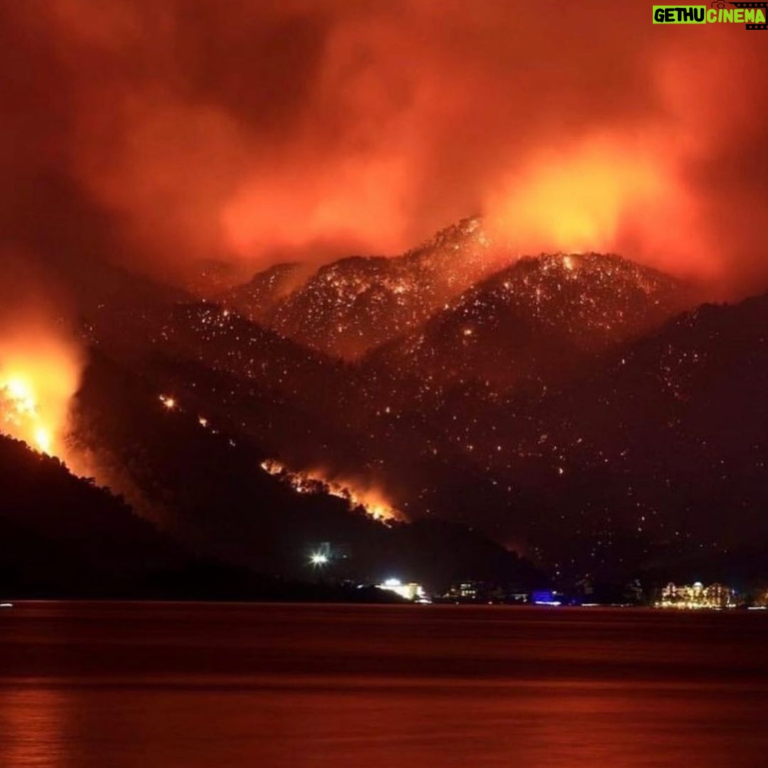Özlem Yılmaz Instagram - 🚨I am calling all the countries who can help us. We are perished and devastated with the total 112 fires. The ones that we can’t stop are still going so strong. We dont have enough fire fighting planes to stop it. We lost 8 people, so many animals and our forests. Please help us!!!!! We need planes urgently. We only have 1 world. #helpturkey @eucouncil @unitednations 🚨Bize yardım edebilecek tüm ülkelere seslenmek istiyorum. 112 adet yangın sebebiyle perişan ve harap olduk. Halen devam etmekte olan yangınlar çok güçlü. Bunları söndürmeye yetecek adette uçağımız yok. 8 insanı, sayısız hayvanı ve ormanlarımızı kaybettik. Lütfen bize yardım edin. Sadece 1 dünyamız var. #helpTurkey 🚨🚨🚨 Lütfen bu mesajı yayın. Bizim çok acil olarak dünya çapında sesimizi duyurmaya ve yardıma ihtiyacımız var. #helpturkey @eucouncil @unitednations