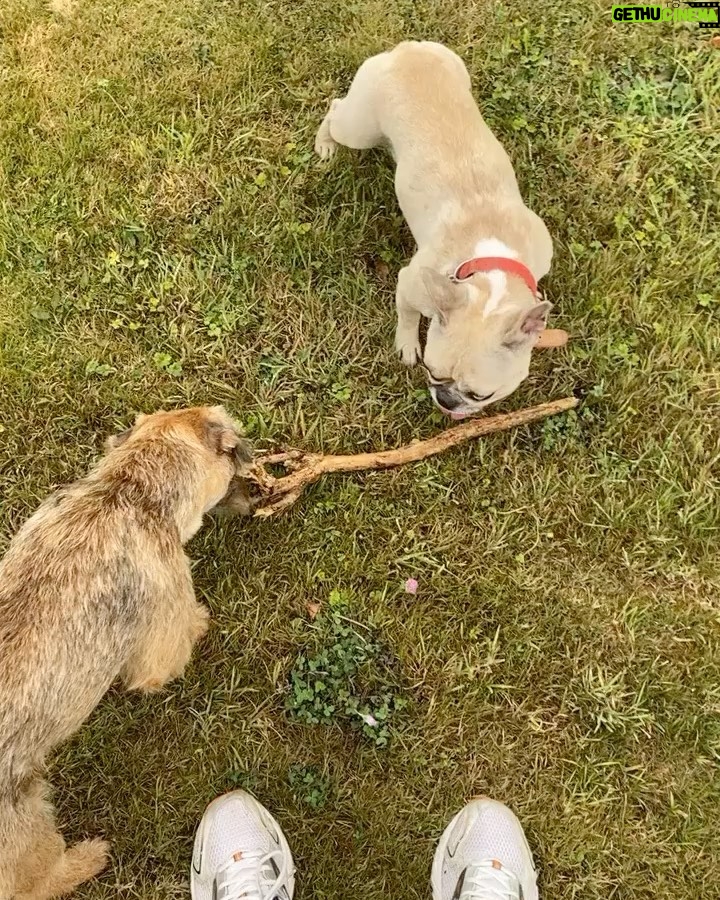 César Domboy Instagram - Ponyo barked and we instantly knew she wanted to go on a romantic weekend in Normandie with the boys. So we complied. 🤍 - Summer 2022 on film