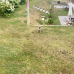 César Domboy Instagram - Ponyo barked and we instantly knew she wanted to go on a romantic weekend in Normandie with the boys. So we complied. 🤍 - Summer 2022 on film