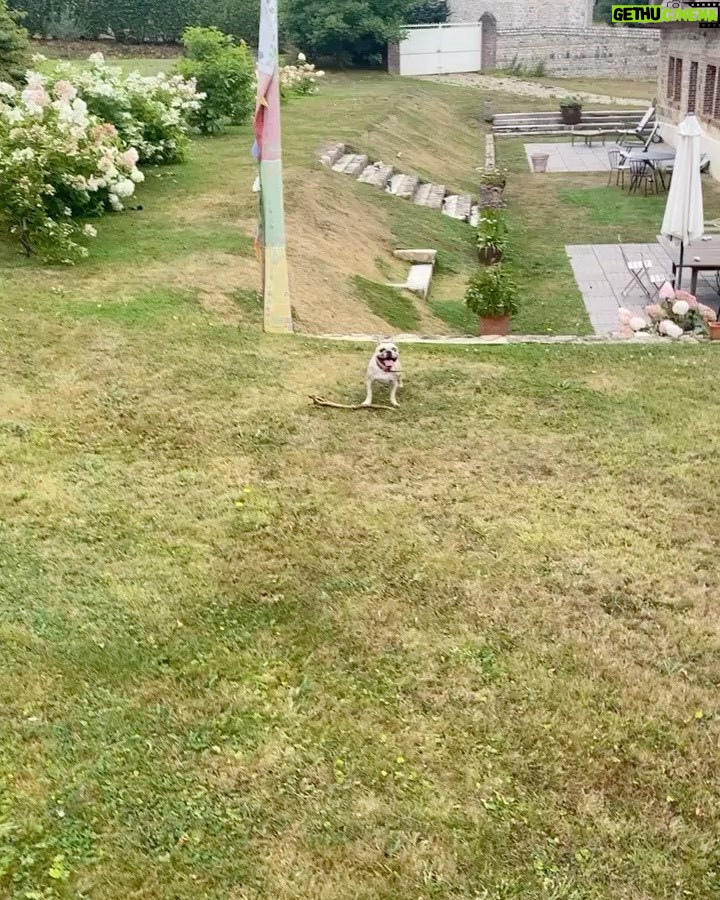 César Domboy Instagram - Ponyo barked and we instantly knew she wanted to go on a romantic weekend in Normandie with the boys. So we complied. 🤍 - Summer 2022 on film