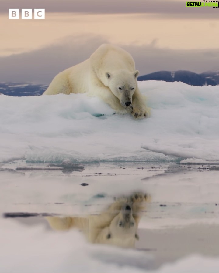Camila Cabello Instagram - Legendary composer @hanszimmer and global superstar @camila_cabello have teamed up to give you the first look at #FrozenPlanet2, coming soon ❄️ . . . . #FrozenPlanet2 #BBCEarth #BBCStudios #FrozenPlanet #SirDavidAttenborough #DavidAttenborough #earth #earthlovers
