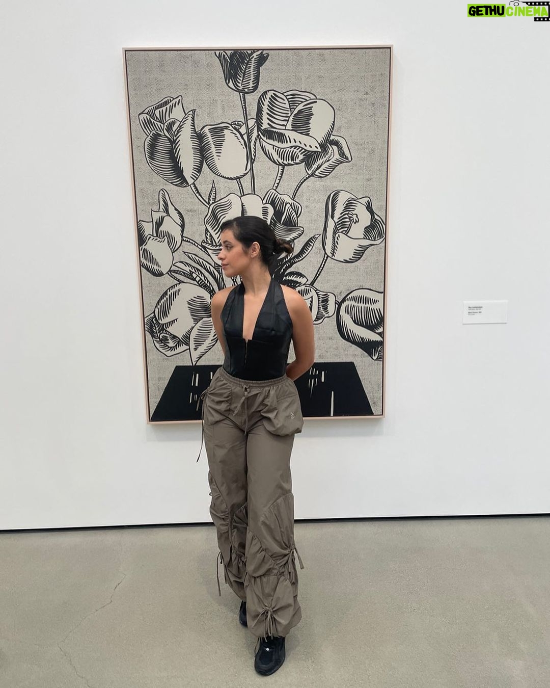 Camila Cabello Instagram - Roy 🖤 The Broad Museum