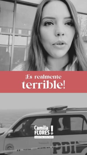 Camila Flores Instagram - ‼️🚨 Es realmente terrible la grave situación delictual en nuestra Región de Valparaíso 🚨‼️