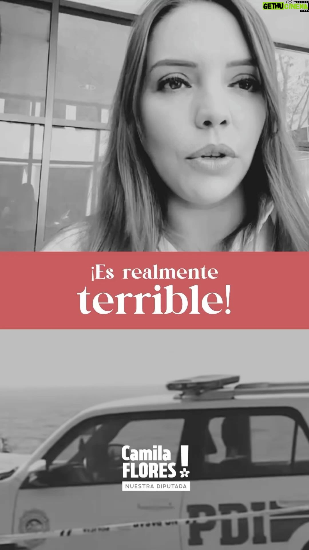 Camila Flores - 774 Likes - ‼️🚨 Es realmente terrible la grave situación delictual en nuestra Región de Valparaíso 🚨‼️