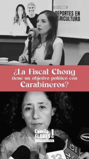 Camila Flores Instagram - ‼️ ¿La #FiscalChong tendrá un objetivo político con #Carabineros ? ‼️