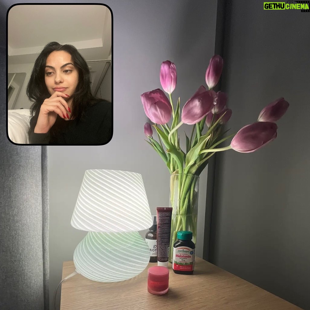 Camila Mendes Instagram - the haters can’t stand that i’m snug as a bug