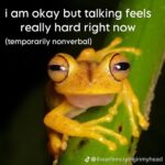 Camila Mendes Instagram - (temporarily nonverbal) 🐸