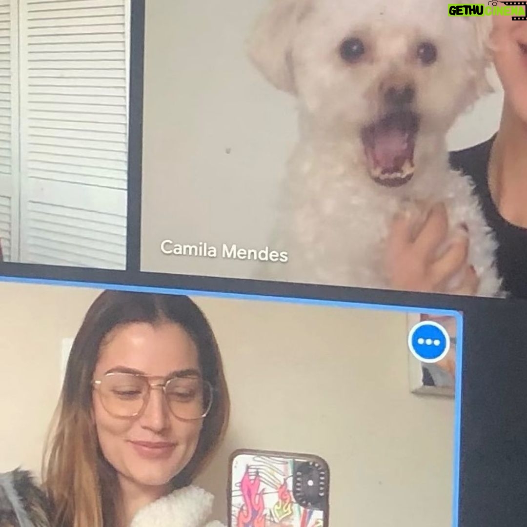 Camila Mendes Instagram - (temporarily nonverbal) 🐸