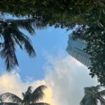 Camila Mendes Instagram – thank you @thesetaimiamibeach for a lovely week. truly in my element here 🌴 #thesetaimiamibeach The Setai, Miami Beach