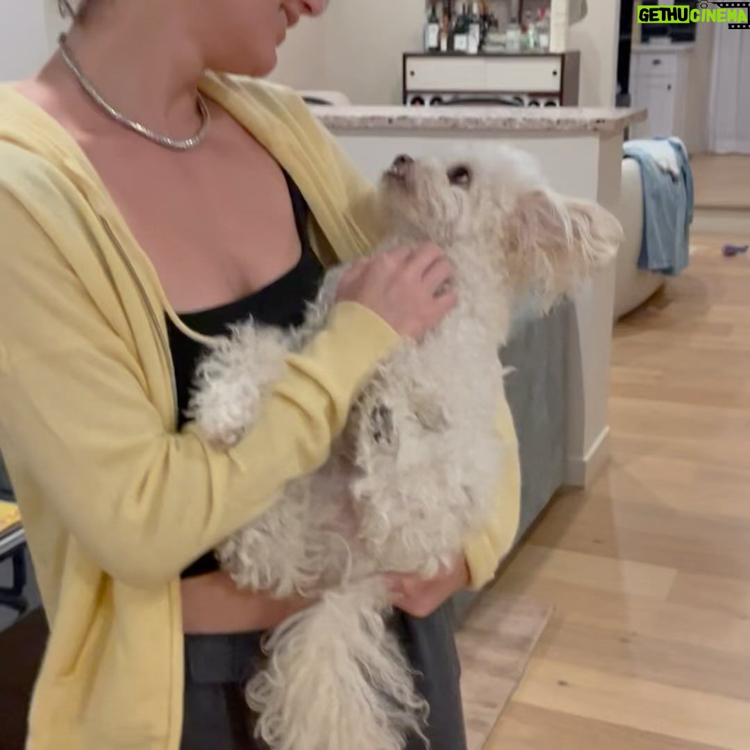 Camila Mendes Instagram - happy dirty 30 to my bestie, producing partner, roomie of six years (until next week) 😭 @rachellynnmatthews if this is truffle when you leave the house for a few hours, idk how she’s going to cope when you actually move out. love you forever 🤍 can we stop growing up now? this is too much change for one week.