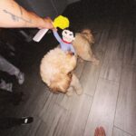 Camilo Instagram - Pa adelante y pa atrás, pa adelante y pa atrás, pa adelante y pa atrás… para adelante y para atrás 👻