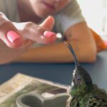 Camilo Instagram – Amanecí ilusionado porque hoy sale mi álbum DELUXE… y Dios me sorprendió con esto:
Evaluna descubrió un colibrí que se perdió dentro de la casa y estaba asustado.
Tratamos de ayudarlo, y nos permitió conocerlo, conversar con él, Evaluna le preparo un poquito de beber, nos hicimos amigos y pudimos acompañarlo hasta el momento en que retomó su vuelo.
Cuando estaba listo para irse, salió a volar y se montó en mi cabeza como despidiéndose, y regalándome uno de los momentos más lindos de mi vida.
Yo no sé cómo se comunica Dios con ustedes, pero conmigo lo hace así.