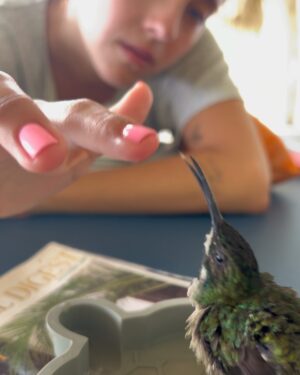 Camilo Instagram - Amanecí ilusionado porque hoy sale mi álbum DELUXE… y Dios me sorprendió con esto:
Evaluna descubrió un colibrí que se perdió dentro de la casa y estaba asustado.
Tratamos de ayudarlo, y nos permitió conocerlo, conversar con él, Evaluna le preparo un poquito de beber, nos hicimos amigos y pudimos acompañarlo hasta el momento en que retomó su vuelo.
Cuando estaba listo para irse, salió a volar y se montó en mi cabeza como despidiéndose, y regalándome uno de los momentos más lindos de mi vida.
Yo no sé cómo se comunica Dios con ustedes, pero conmigo lo hace así.