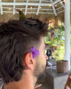 Camilo Instagram - Amanecí ilusionado porque hoy sale mi álbum DELUXE… y Dios me sorprendió con esto: Evaluna descubrió un colibrí que se perdió dentro de la casa y estaba asustado. Tratamos de ayudarlo, y nos permitió conocerlo, conversar con él, Evaluna le preparo un poquito de beber, nos hicimos amigos y pudimos acompañarlo hasta el momento en que retomó su vuelo. Cuando estaba listo para irse, salió a volar y se montó en mi cabeza como despidiéndose, y regalándome uno de los momentos más lindos de mi vida. Yo no sé cómo se comunica Dios con ustedes, pero conmigo lo hace así.