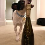 Cara Delevingne Instagram - Alfie’s got good taste.