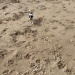 Cara Delevingne Instagram - Weekly dump