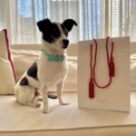 Cara Delevingne Instagram - What’s it all about Alfie? Baccarat Hotel New York