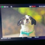 Cara Delevingne Instagram - Last day today... done for the year. Please stay safe xxx