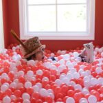 Cara Delevingne Instagram - My true self lies somewhere between a pornstar crossed with jamiroquai... also I have a vagina tunnel... in my house @overheardla @archdigest