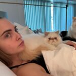 Cara Delevingne Instagram - Caption this.