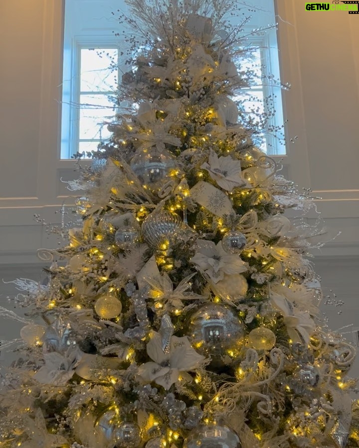 Cardi B Instagram - THE TREE UP 🎄🎁 @david_christophers_inc