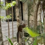 Carla Talon Instagram - sorry, seats taken Tulum, México