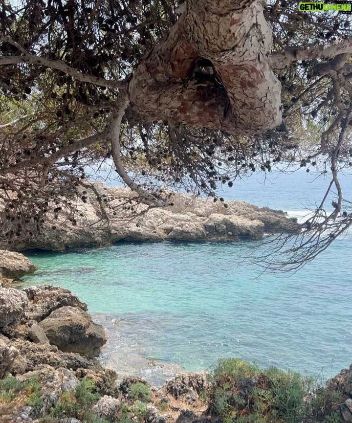 Carla Talon Instagram - vacation in the South of france 🇫🇷 @FashionNova Cap D'ail - Cote D'azur - France