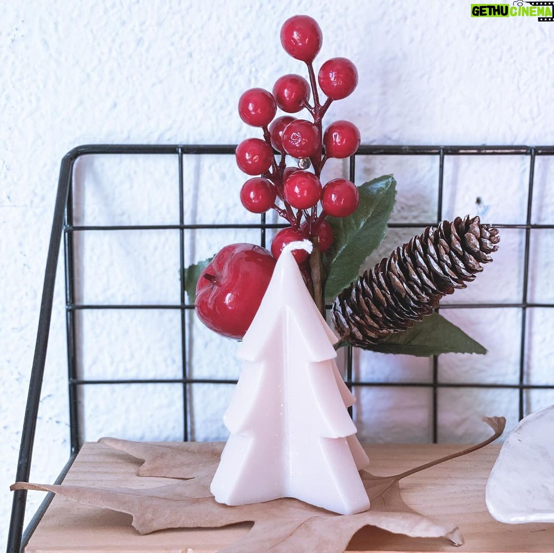 Carlos Nóbrega Instagram - Detalles festivos para una temporada única. 🌟⠀ 👑⠀ @mirakihome ⠀⠀ ⠀⠀ ⠀⠀ ⠀⠀ ⠀⠀ ⠀⠀ ⠀⠀ ⠀⠀ #Miraki #mirakihome #cnlive ⠀⠀ #FelizNavidad #DecoraciónNavideña⠀⠀ #navidad2023 #navidad #feliznavidad #happychristmas #decoraciondenavidad #decoracionnavideña #xmas #Christmas #adornosnavideños #reyesmagos