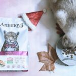 Carlos Nóbrega Instagram – “Huele delicioso. Dame.” ⠀
Un gato bien alimentado será un gato sano y feliz. 🐾🐱⠀
❤️🐱.Isis está encantada 😺⠀
@amanovapets @theonlyfreshcompany⠀
⠀
⠀
Todo ingredientes frescos,saludables y naturales, 🐱qué nunca puede faltar en nuestra casa 🏠 💫⠀
⠀
⠀
⠀
⠀
⠀
#onlyfresh #cnlive #iamisis #soyisis ⠀
#amanova #amanovaonlyfresh #amanovapetfood #amanovapets ⠀
#onlyfresh⠀
#petcareonlyfresh  #cats  #pets #catsofinstagram⠀
#gatos #catstagram #catlife #catlovers⠀
#comidanatural⠀