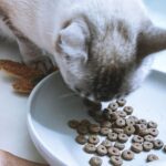 Carlos Nóbrega Instagram – “Huele delicioso. Dame.” ⠀
Un gato bien alimentado será un gato sano y feliz. 🐾🐱⠀
❤️🐱.Isis está encantada 😺⠀
@amanovapets @theonlyfreshcompany⠀
⠀
⠀
Todo ingredientes frescos,saludables y naturales, 🐱qué nunca puede faltar en nuestra casa 🏠 💫⠀
⠀
⠀
⠀
⠀
⠀
#onlyfresh #cnlive #iamisis #soyisis ⠀
#amanova #amanovaonlyfresh #amanovapetfood #amanovapets ⠀
#onlyfresh⠀
#petcareonlyfresh  #cats  #pets #catsofinstagram⠀
#gatos #catstagram #catlife #catlovers⠀
#comidanatural⠀