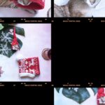 Carlos Nóbrega Instagram - Time to ( finally) say goodbye to #Christmas! ⠀ Furrrrr mood until next year 🐈🎄⠀ ⠀ @pawaboo.pet ⠀ ⠀ ⠀ ⠀ ⠀ ⠀ ⠀ ⠀ ⠀ ⠀ ⠀ ⠀ ⠀ ⠀ #Cnlive #pawaboo #pawaboopetcarrier #pets #cat #cats #gatos #cats_of_world #cats_of_world #catlife #christmas #navidad #natal ⠀ ⠀ ⠀ ⠀ ⠀ ⠀