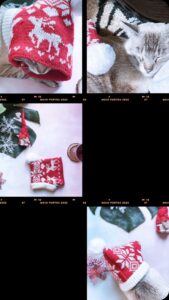 Carlos Nóbrega Instagram - Time to ( finally) say goodbye to #Christmas! ⠀ Furrrrr mood until next year 🐈🎄⠀ ⠀ @pawaboo.pet ⠀ ⠀ ⠀ ⠀ ⠀ ⠀ ⠀ ⠀ ⠀ ⠀ ⠀ ⠀ ⠀ ⠀ #Cnlive #pawaboo #pawaboopetcarrier #pets #cat #cats #gatos #cats_of_world #cats_of_world #catlife #christmas #navidad #natal ⠀ ⠀ ⠀ ⠀ ⠀ ⠀