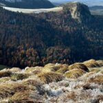 Carole Richert Instagram - En balade et j’admire… #montdore #auvergne