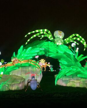 Carole Richert Instagram - L’exposition « mini-mondes » en voie d’illumination, au jardin des plantes, juste magique, onirique, passionnant, un peu effrayant, juste formidable et cela se termine dimanche !!! c’est AVATARLAND!!!Un autre monde plus grand que nature #jardindesplantes #paris #ecosysteme #baindelumiere #enviedetreuneluciole #voirleschosesengrand #leverlesyeux