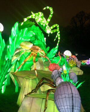 Carole Richert Instagram - L’exposition « mini-mondes » en voie d’illumination, au jardin des plantes, juste magique, onirique, passionnant, un peu effrayant, juste formidable et cela se termine dimanche !!! c’est AVATARLAND!!!Un autre monde plus grand que nature #jardindesplantes #paris #ecosysteme #baindelumiere #enviedetreuneluciole #voirleschosesengrand #leverlesyeux