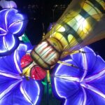Carole Richert Instagram - L’exposition « mini-mondes » en voie d’illumination, au jardin des plantes, juste magique, onirique, passionnant, un peu effrayant, juste formidable et cela se termine dimanche !!! c’est AVATARLAND!!!Un autre monde plus grand que nature #jardindesplantes #paris #ecosysteme #baindelumiere #enviedetreuneluciole #voirleschosesengrand #leverlesyeux