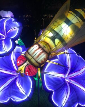 Carole Richert Instagram - L’exposition « mini-mondes » en voie d’illumination, au jardin des plantes, juste magique, onirique, passionnant, un peu effrayant, juste formidable et cela se termine dimanche !!! c’est AVATARLAND!!!Un autre monde plus grand que nature #jardindesplantes #paris #ecosysteme #baindelumiere #enviedetreuneluciole #voirleschosesengrand #leverlesyeux
