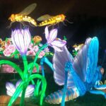 Carole Richert Instagram - L’exposition « mini-mondes » en voie d’illumination, au jardin des plantes, juste magique, onirique, passionnant, un peu effrayant, juste formidable et cela se termine dimanche !!! c’est AVATARLAND!!!Un autre monde plus grand que nature #jardindesplantes #paris #ecosysteme #baindelumiere #enviedetreuneluciole #voirleschosesengrand #leverlesyeux
