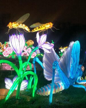 Carole Richert Instagram - L’exposition « mini-mondes » en voie d’illumination, au jardin des plantes, juste magique, onirique, passionnant, un peu effrayant, juste formidable et cela se termine dimanche !!! c’est AVATARLAND!!!Un autre monde plus grand que nature #jardindesplantes #paris #ecosysteme #baindelumiere #enviedetreuneluciole #voirleschosesengrand #leverlesyeux