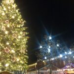 Carole Richert Instagram - Strasbourg, ma ville natale , magique #capitaledenoel #strasbourg #cathedraledestrasbourg #racines #alsace