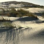 Carole Richert Instagram - Premiers pas, premier selfie, premières impressions, le soleil est là , le ciel est bleu …J’apprécie ce premier jour de l’an, je le vole à la morosité , l’embrasse et vous souhaite une belle année, la nature a un effet si puissant que j’en oublie parfois la réalité et me nourrit de cette beauté partout autour de moi …Je la partage, comme un cadeau…de Nouvel an! Bonjour 2024 ❤️❤️❤️ et mes meilleurs vœux à tous 🙏🌟 #2024 #nouvelan #espoir #paix #joie #douceur