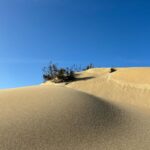 Carole Richert Instagram - Premiers pas, premier selfie, premières impressions, le soleil est là , le ciel est bleu …J’apprécie ce premier jour de l’an, je le vole à la morosité , l’embrasse et vous souhaite une belle année, la nature a un effet si puissant que j’en oublie parfois la réalité et me nourrit de cette beauté partout autour de moi …Je la partage, comme un cadeau…de Nouvel an! Bonjour 2024 ❤️❤️❤️ et mes meilleurs vœux à tous 🙏🌟 #2024 #nouvelan #espoir #paix #joie #douceur