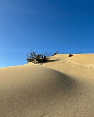 Carole Richert Instagram - Premiers pas, premier selfie, premières impressions,  le soleil  est là , le ciel est bleu …J’apprécie ce premier jour de l’an, je le vole à la morosité , l’embrasse et vous souhaite une belle année, la nature a  un effet si puissant  que j’en oublie parfois la réalité et me nourrit de cette beauté partout autour de moi …Je la partage, comme un cadeau…de Nouvel an! Bonjour 2024 ❤️❤️❤️ et mes meilleurs vœux  à tous 🙏🌟 #2024 #nouvelan #espoir #paix #joie #douceur
