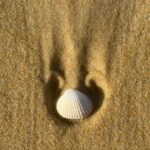 Carole Richert Instagram - Premiers pas, premier selfie, premières impressions, le soleil est là , le ciel est bleu …J’apprécie ce premier jour de l’an, je le vole à la morosité , l’embrasse et vous souhaite une belle année, la nature a un effet si puissant que j’en oublie parfois la réalité et me nourrit de cette beauté partout autour de moi …Je la partage, comme un cadeau…de Nouvel an! Bonjour 2024 ❤️❤️❤️ et mes meilleurs vœux à tous 🙏🌟 #2024 #nouvelan #espoir #paix #joie #douceur