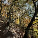 Carole Richert Instagram - En balade et j’admire… #montdore #auvergne
