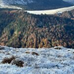 Carole Richert Instagram - En balade et j’admire… #montdore #auvergne