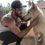 Casey Deidrick Instagram – Lookin’ at me like a snack @animaltracksinc #winteriscoming Scout is a wolf-hybrid 🐺