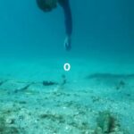 Casey Deidrick Instagram - Hey everyone! Just wanted to give a shout out to 4ocean and the entire clean ocean movement on reaching 10 million pounds pulled from the ocean, rivers and coastlines! This goes to show what's possible when we all work together to end the ocean plastic crisis. Really looking forward to what's next from this incredible collective of people and communities. Here's to 10 million more! 🌊 🐢 🦈 🐠 ♻️