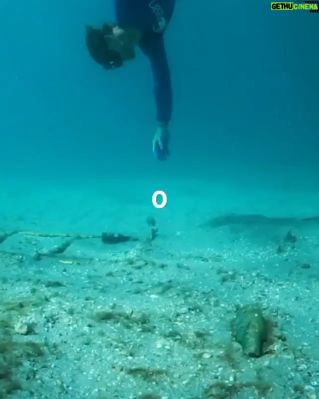 Casey Deidrick Instagram - Hey everyone! Just wanted to give a shout out to 4ocean and the entire clean ocean movement on reaching 10 million pounds pulled from the ocean, rivers and coastlines! This goes to show what's possible when we all work together to end the ocean plastic crisis. Really looking forward to what's next from this incredible collective of people and communities. Here's to 10 million more! 🌊 🐢 🦈 🐠 ♻