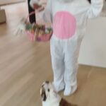 Casey Patterson Instagram - “I don’t know how to does da bunny” 🐰🐣🍄🌸🌈#teecathelegend #happyeaster Soho